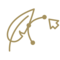 Logo Entwicklung